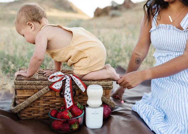 Picknick met een baby en het melkwarmerproduct