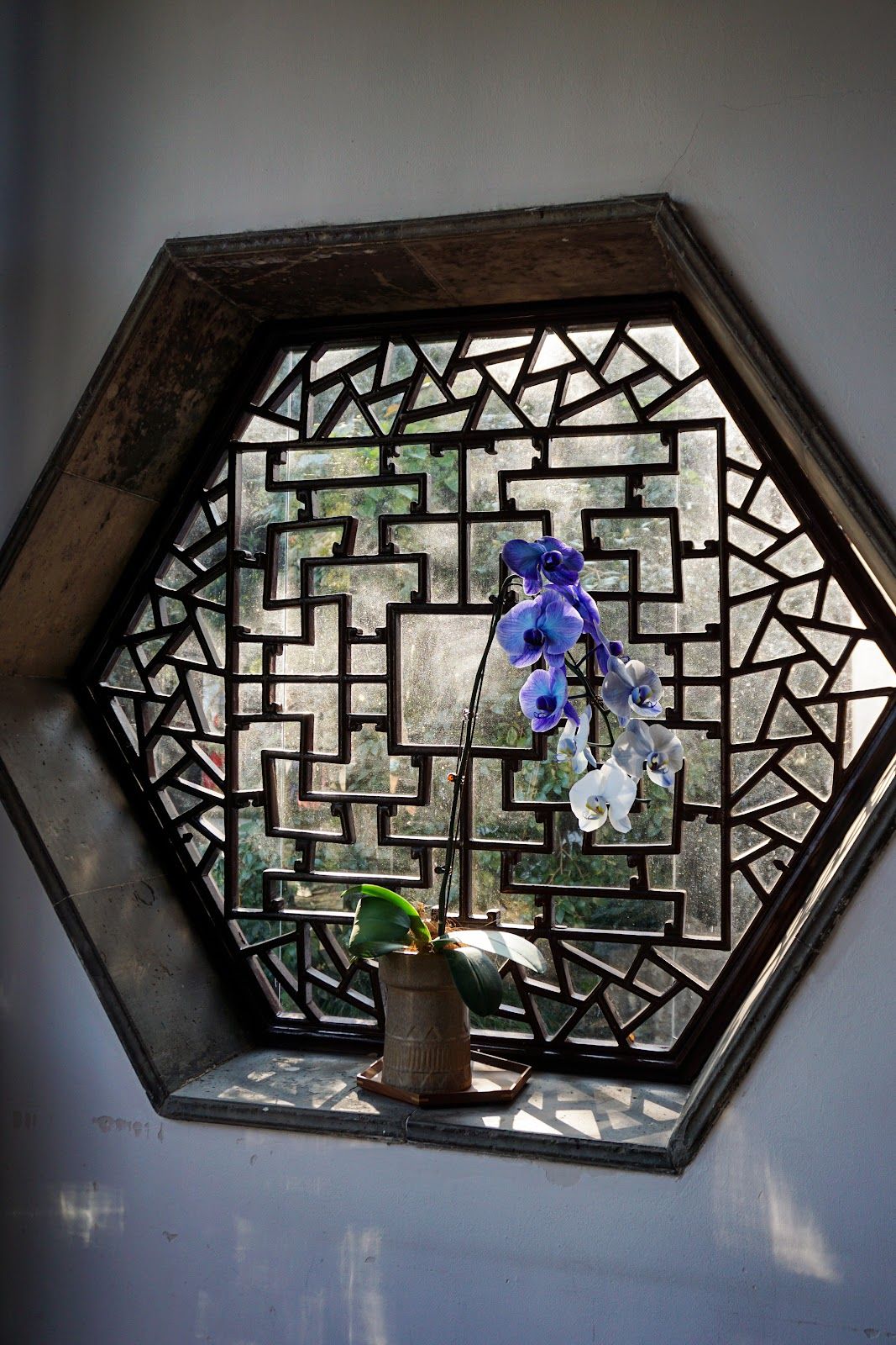 A hexagonal windowsill with a purple flower