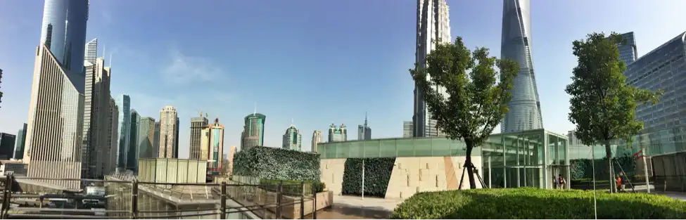 rooftop3
