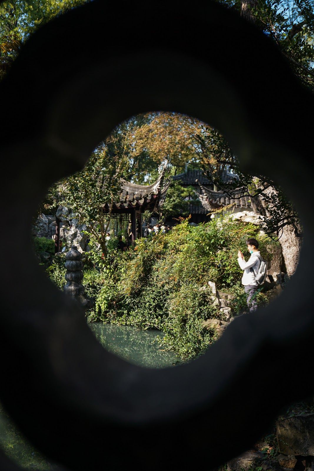 Foliage and a man obscured by a circular oculus