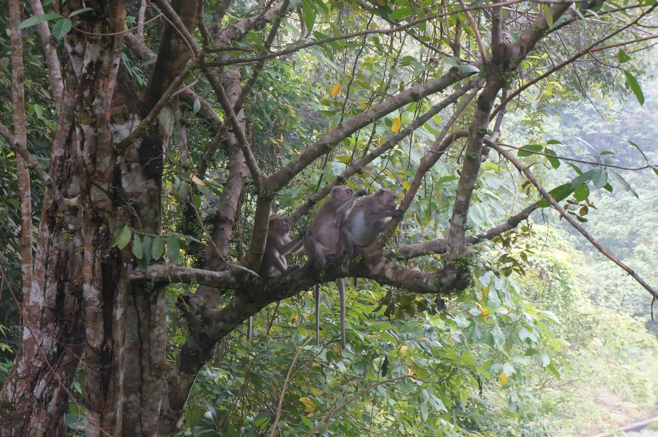image10