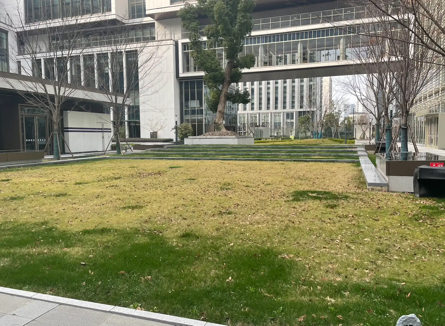 A part of grass.