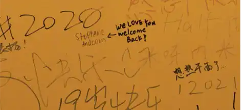 replace this alt text