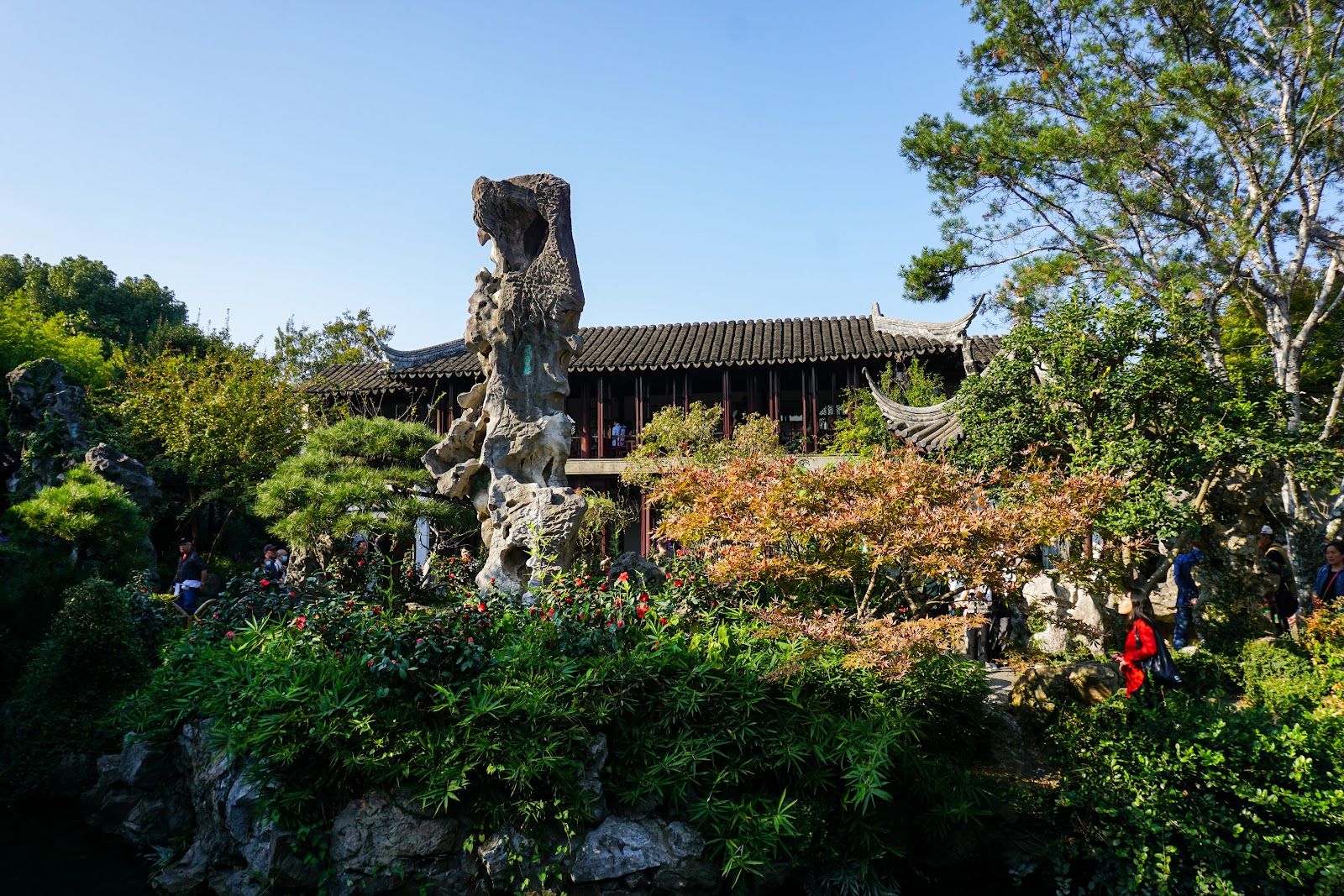 A blue sky and garden