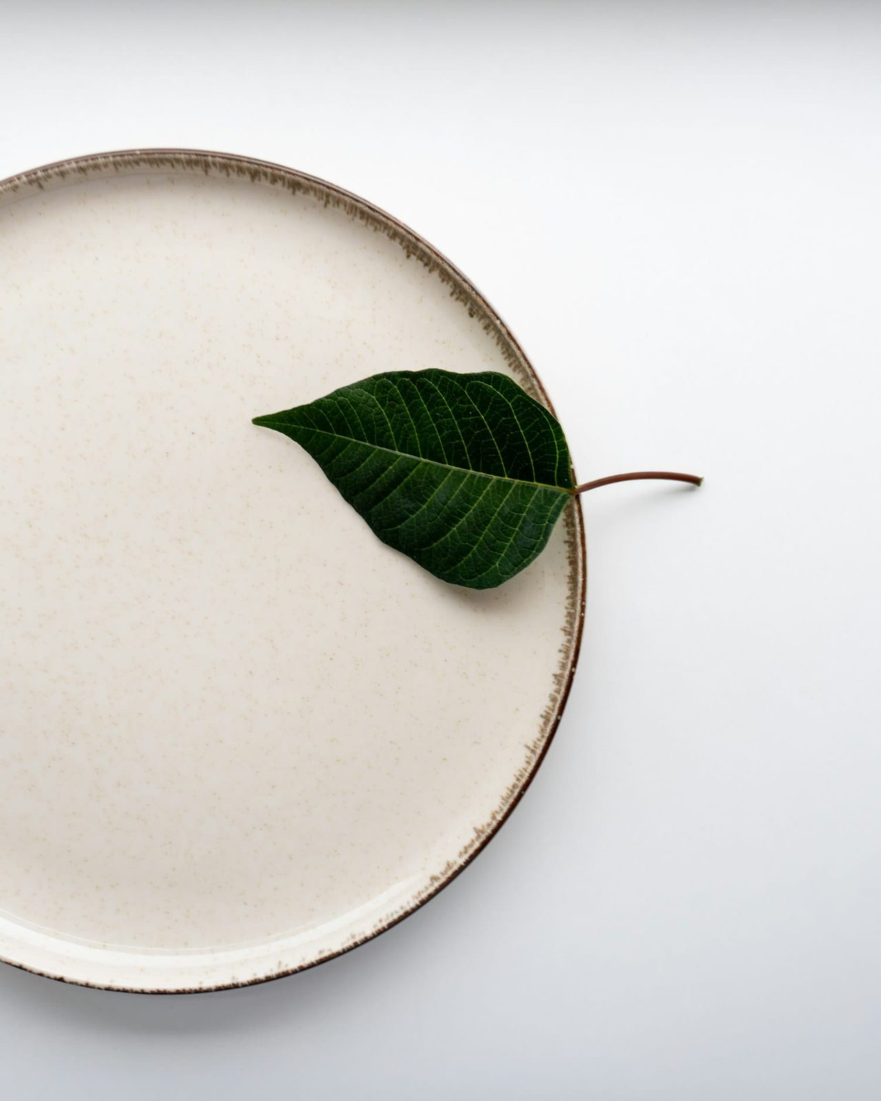 A pale ceramic plate styled with a single green leaf