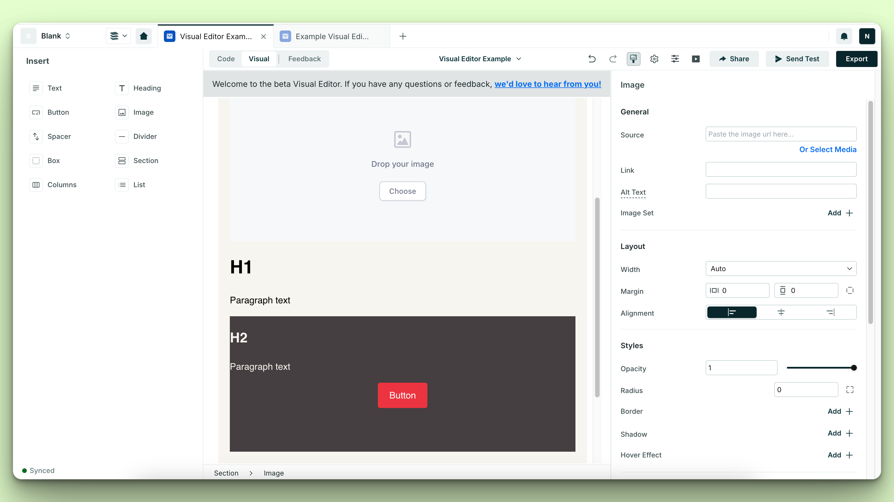 The skeleton of the email