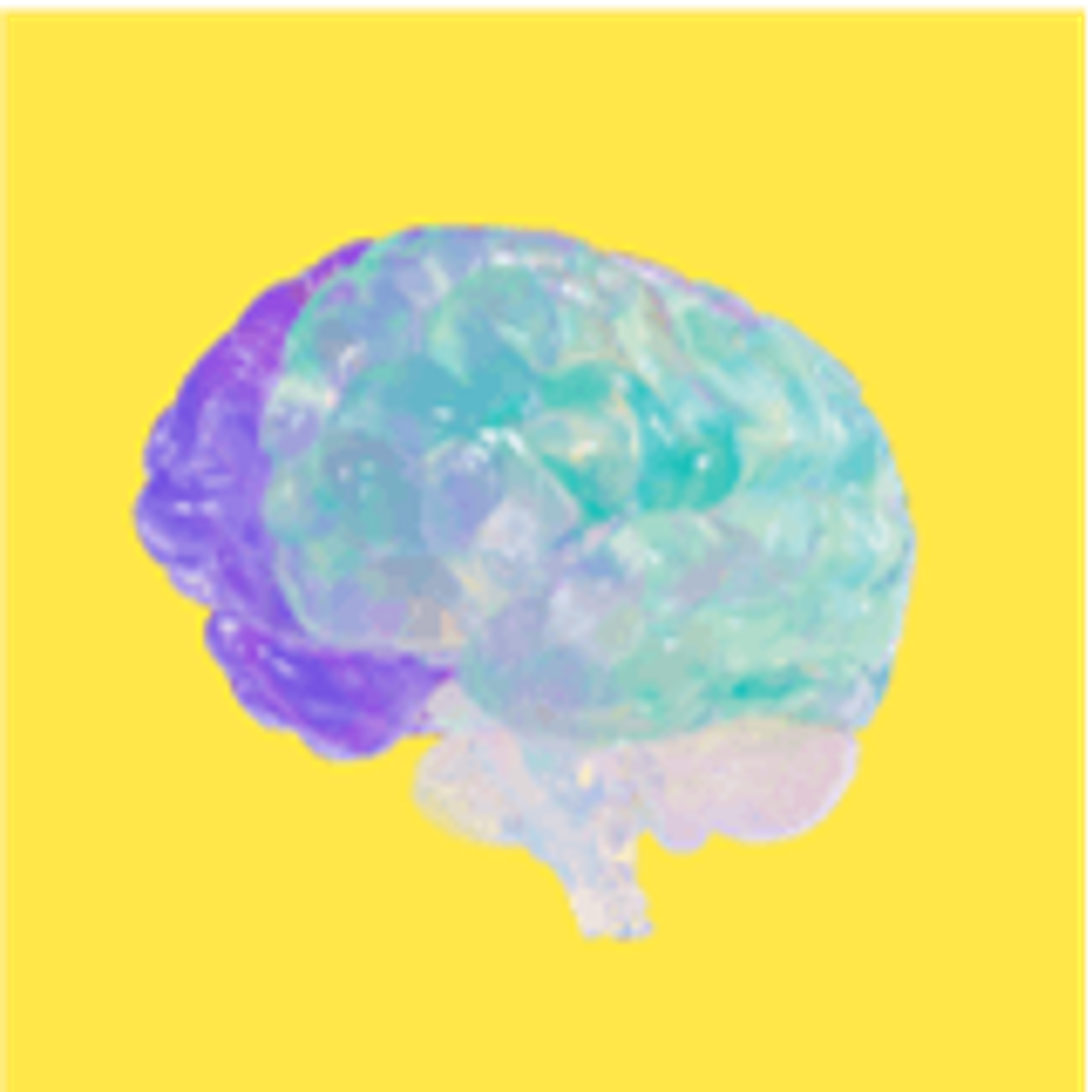 brain scan