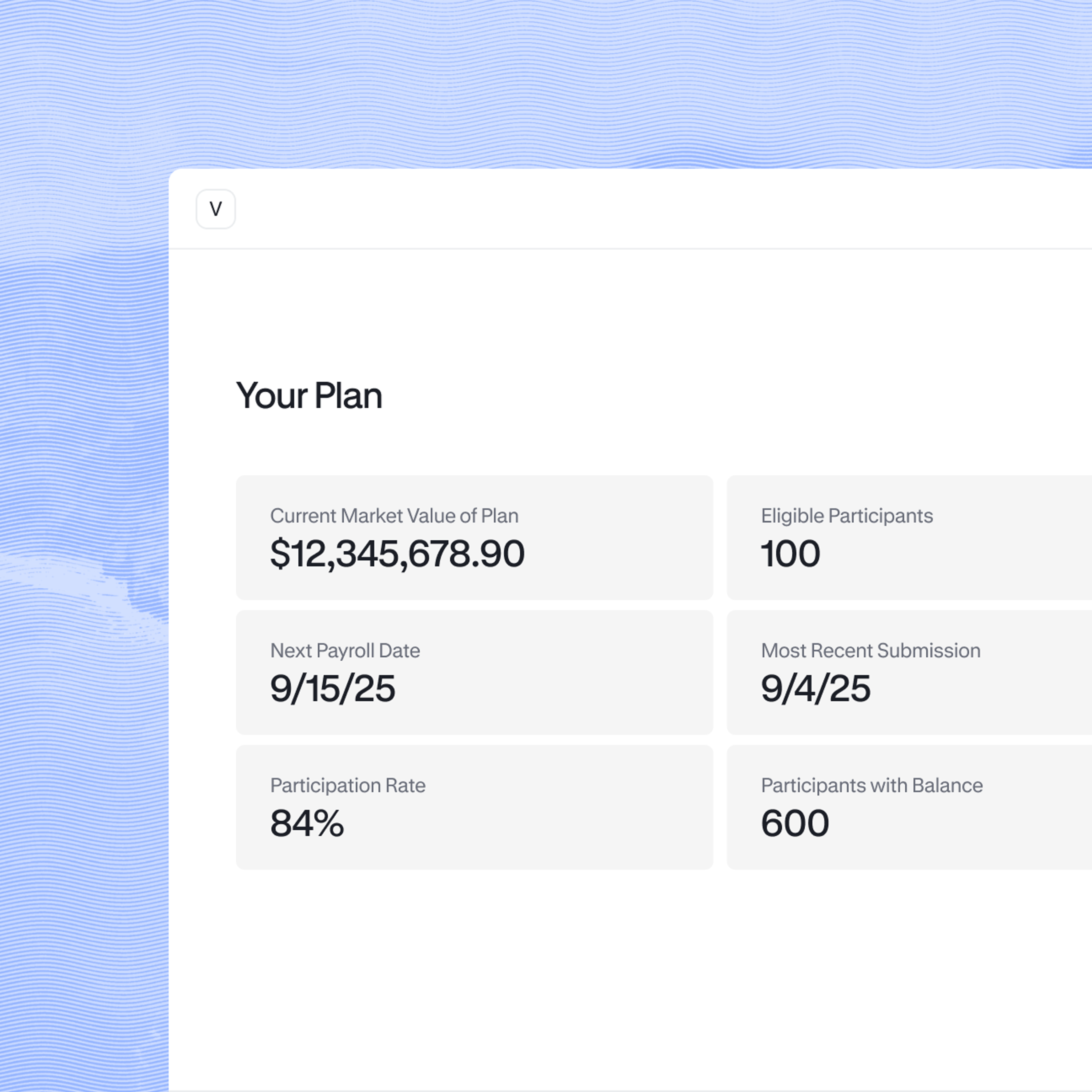 your plan details at-a-glance