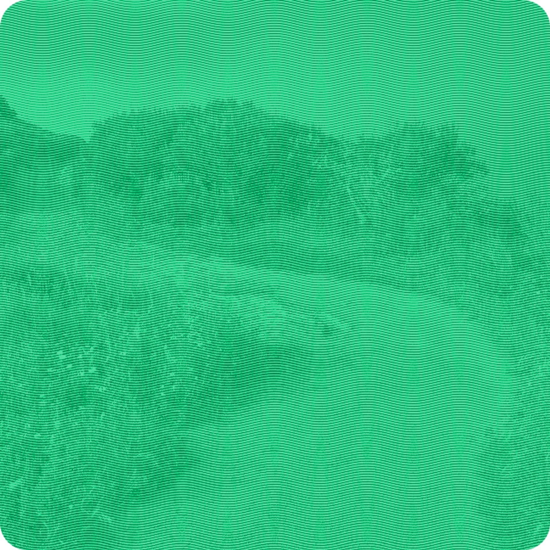 Photo of a nature path with a hazy green line overlay. 
