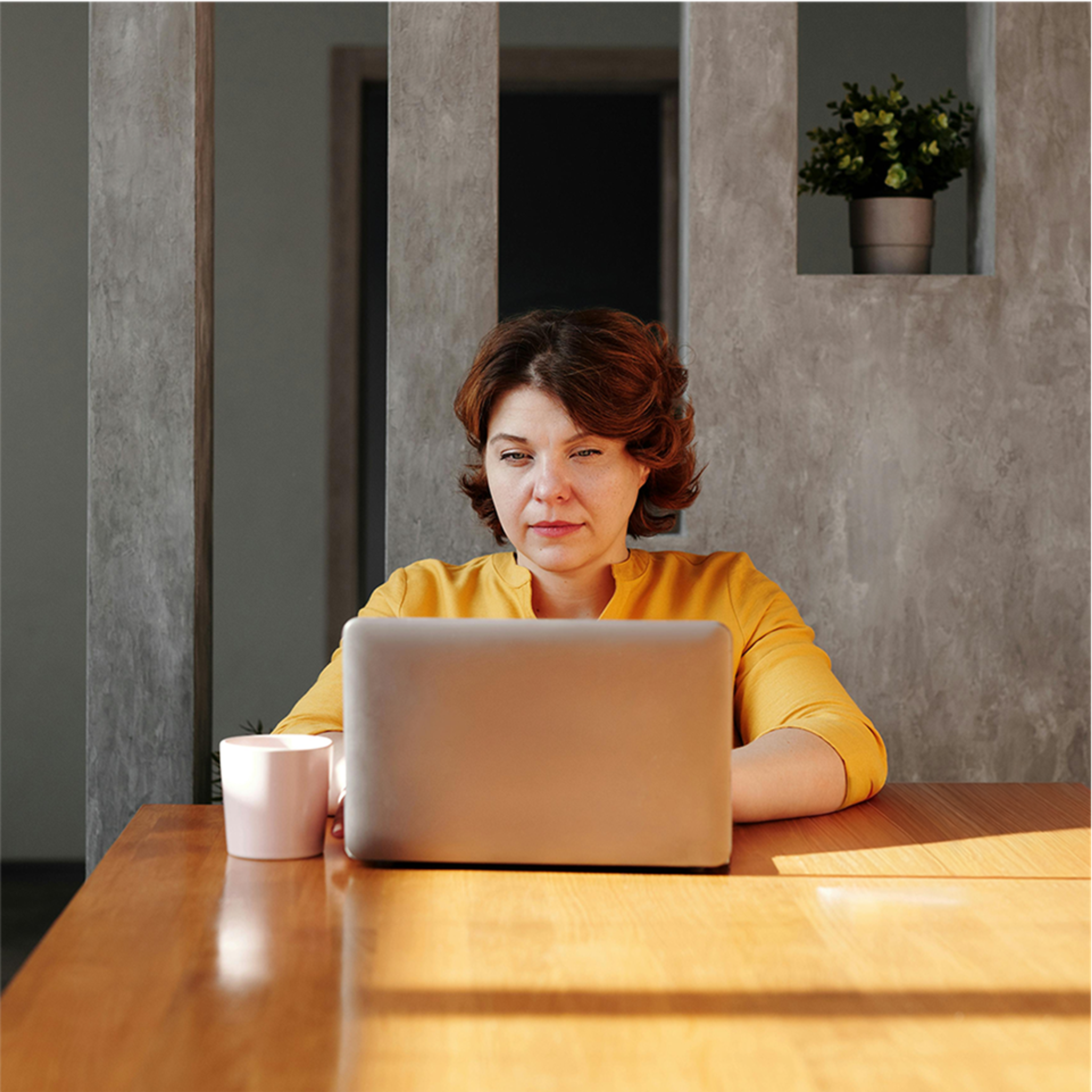Advisor on computer