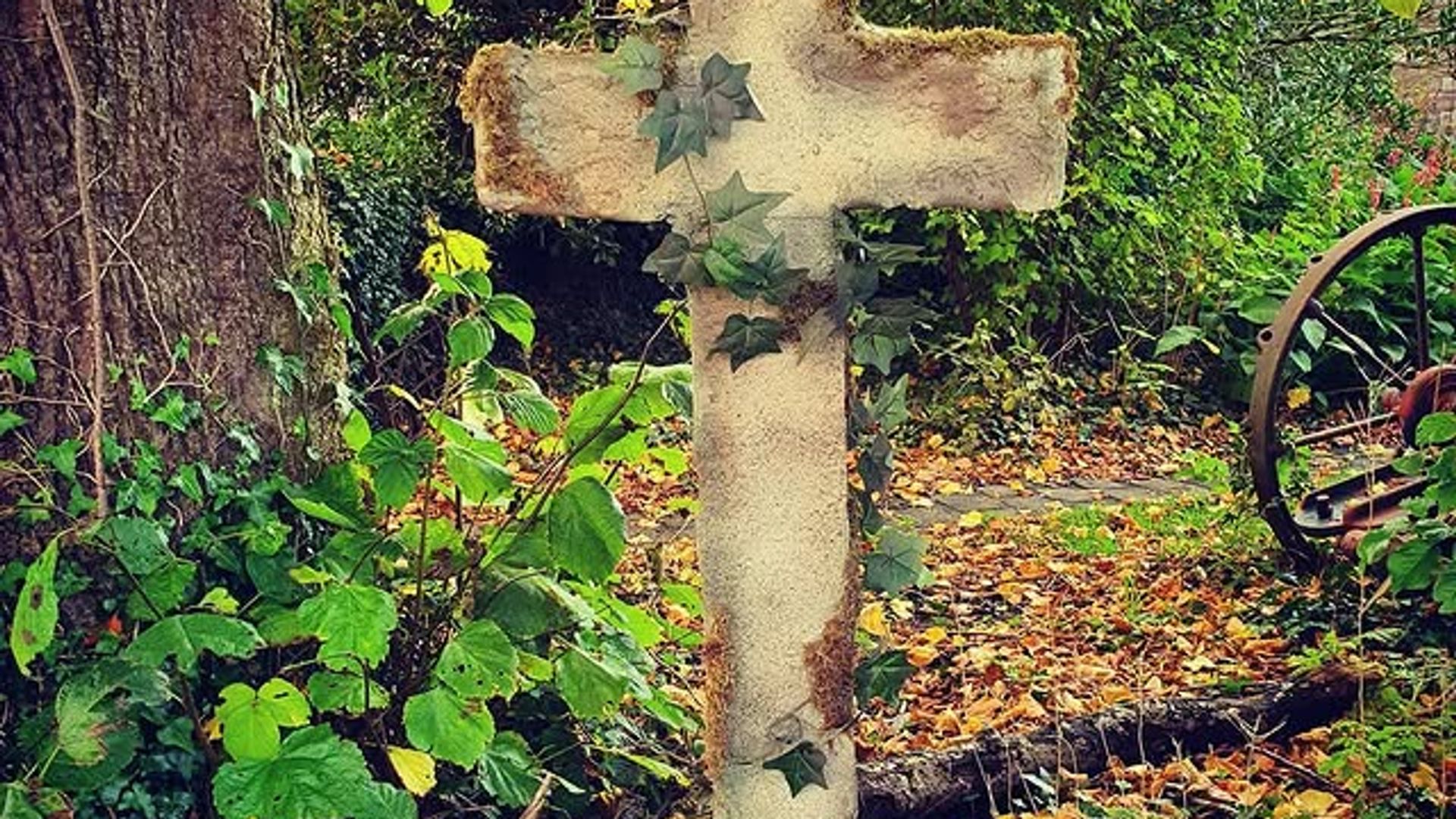 Grave