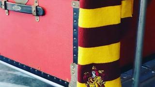 Harry Potter Luggage