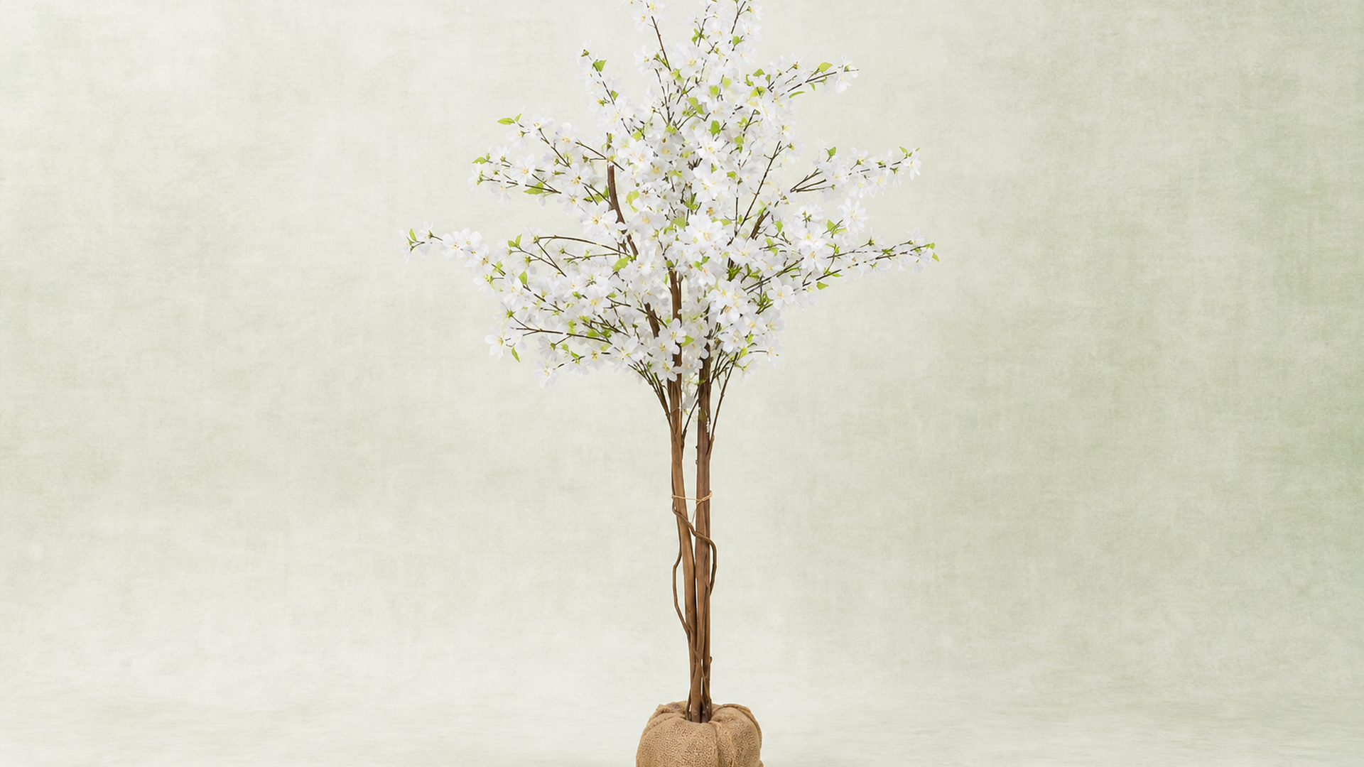 Blossom Tree