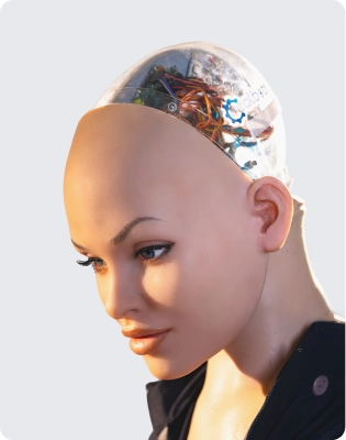 Female robot profile 2