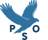 PSO Regnskap