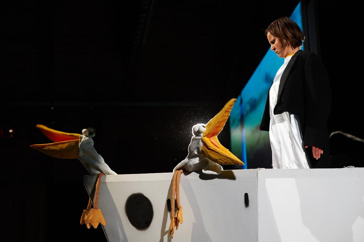 Nelson der Pinguin