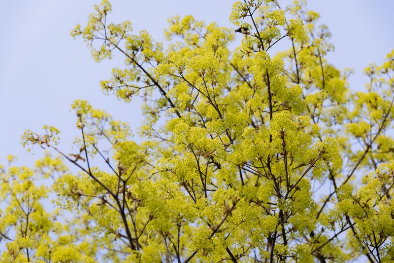 Eröffnung Theaterfestival STEUDLTENN