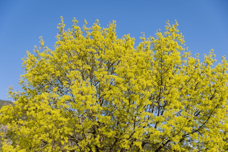 Eröffnung Theaterfestival STEUDLTENN