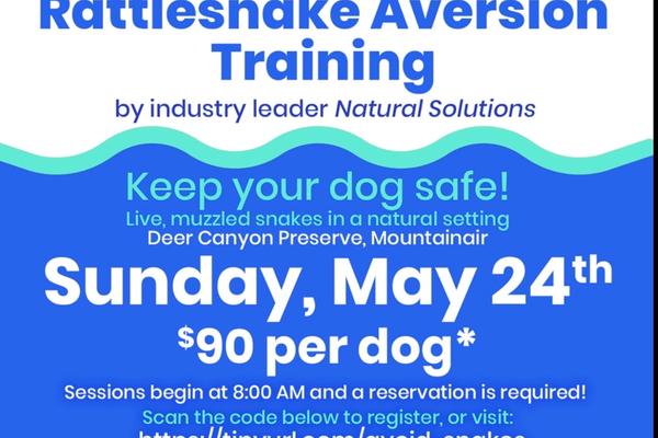 Rattlesnake Aversion Training 