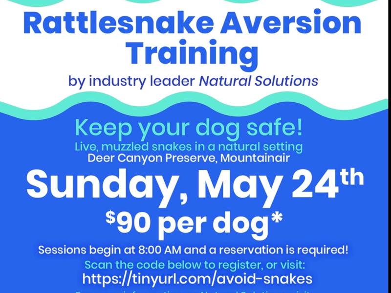 Featured image of Rattlesnake Aversion Training 