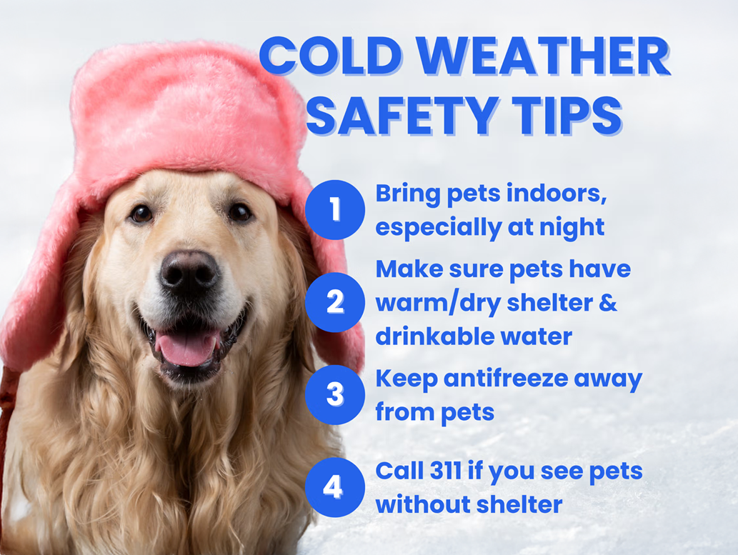 Keeping “Outside Dogs” Warm During the Winter Months