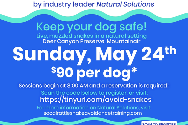 Rattlesnake Aversion Training 