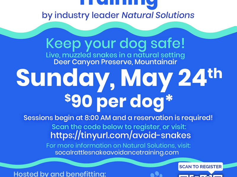 Featured image of Rattlesnake Aversion Training 