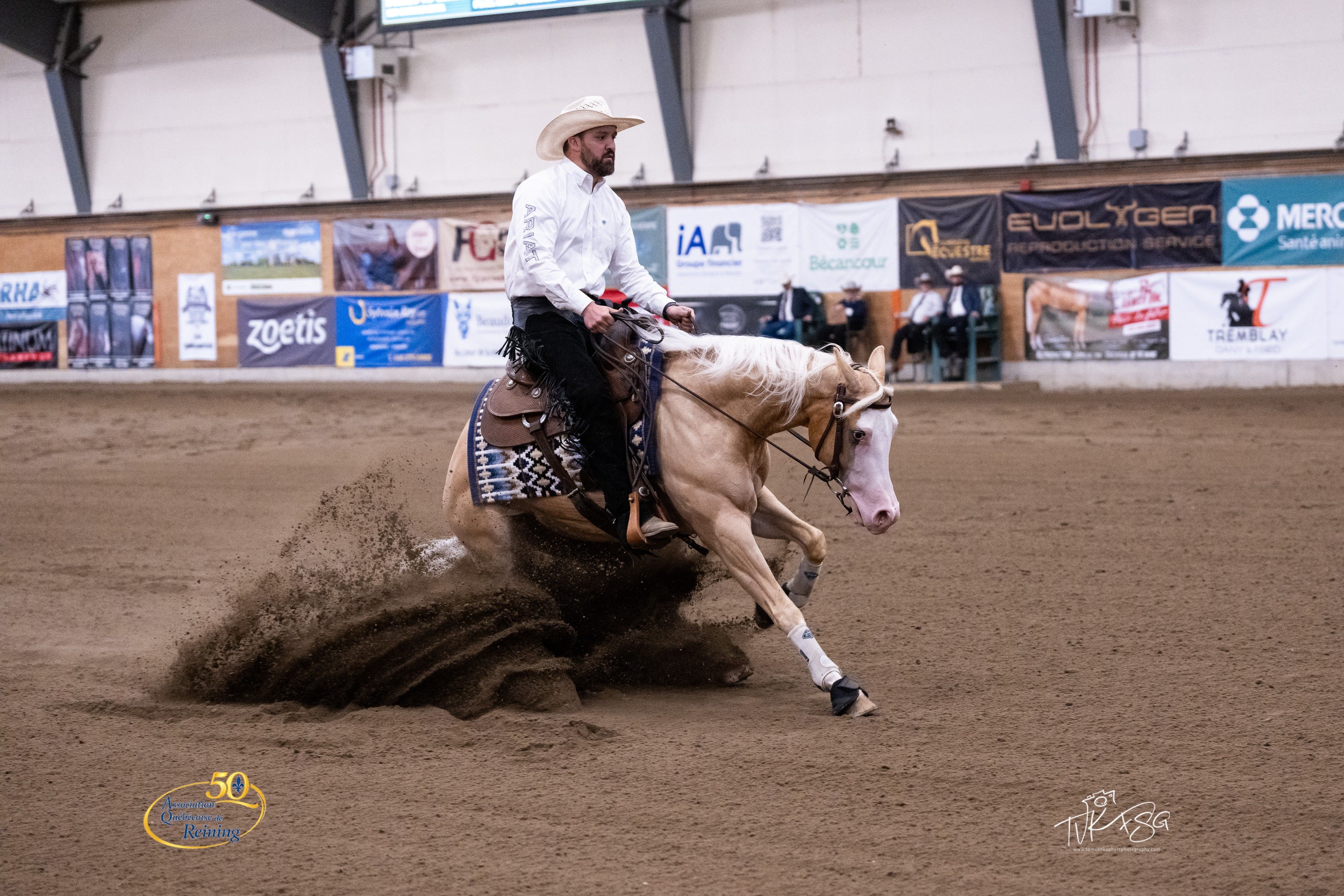 SBR Wannasparkya — Gadreau Reining