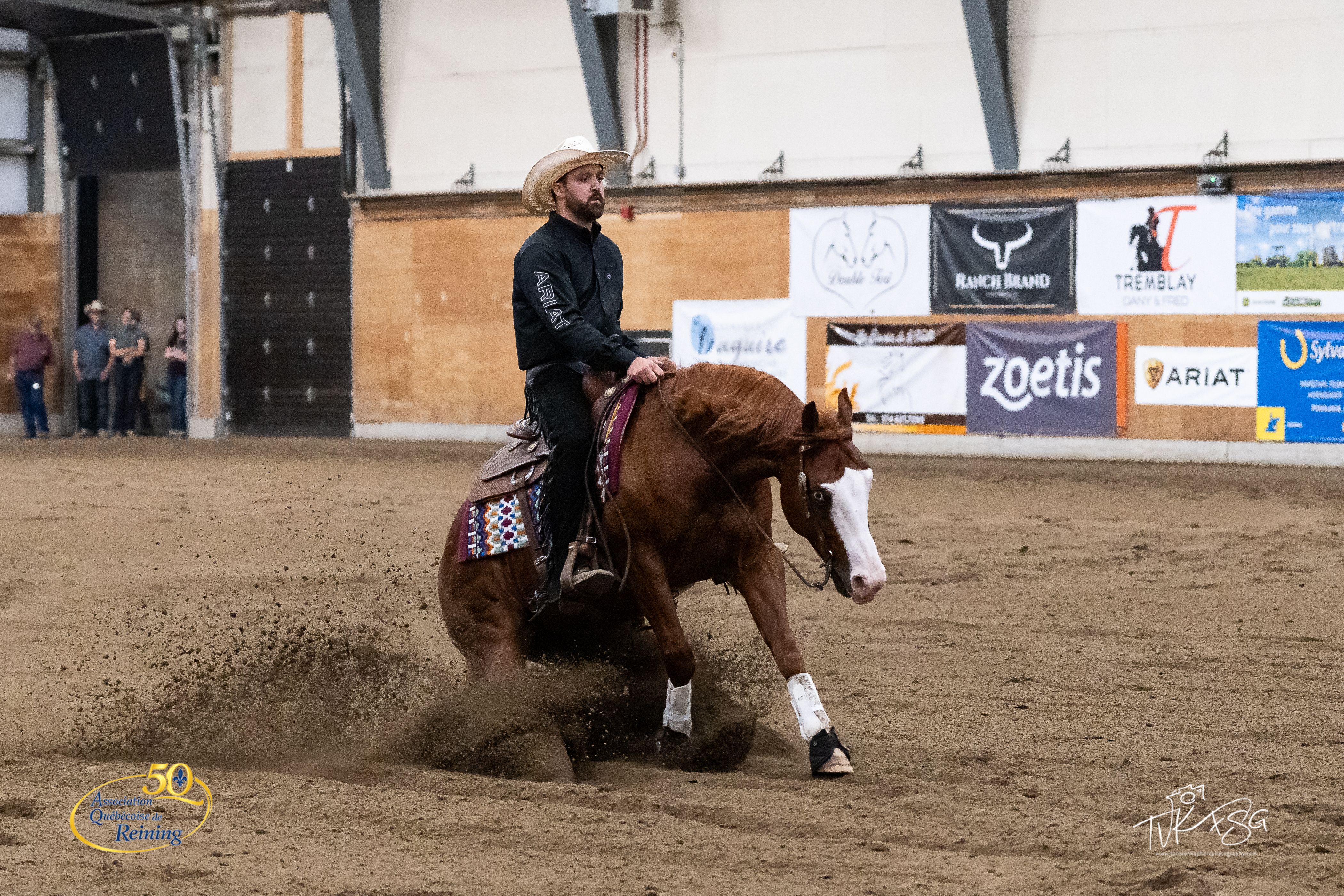 BB Megaelectricshine — Gadreau Reining