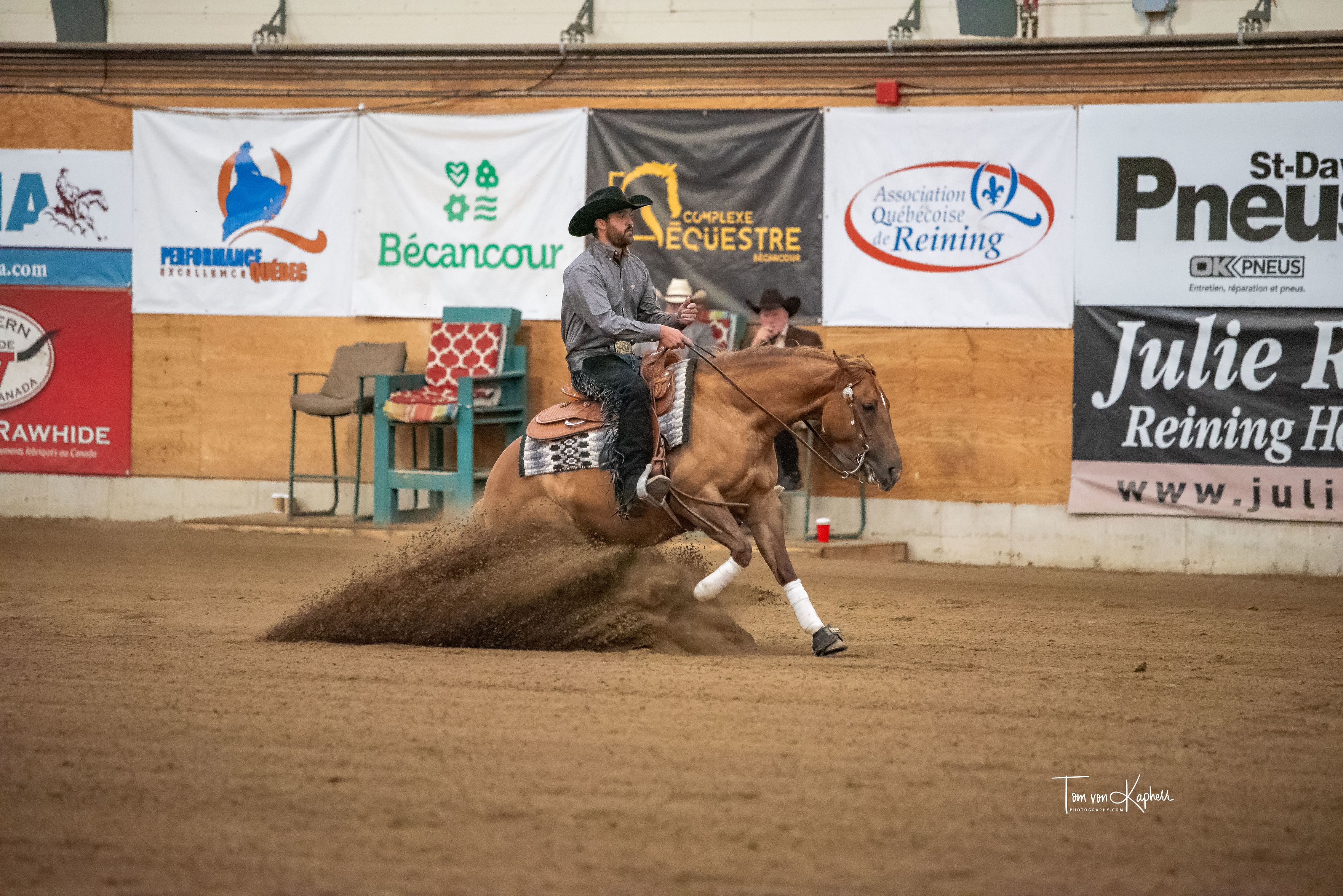 Great Holly Whiz — Gadreau Reining