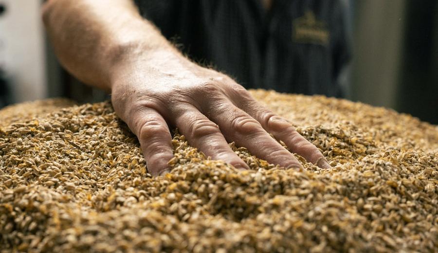 The malt makes the body - Jennings Sneck Lifter