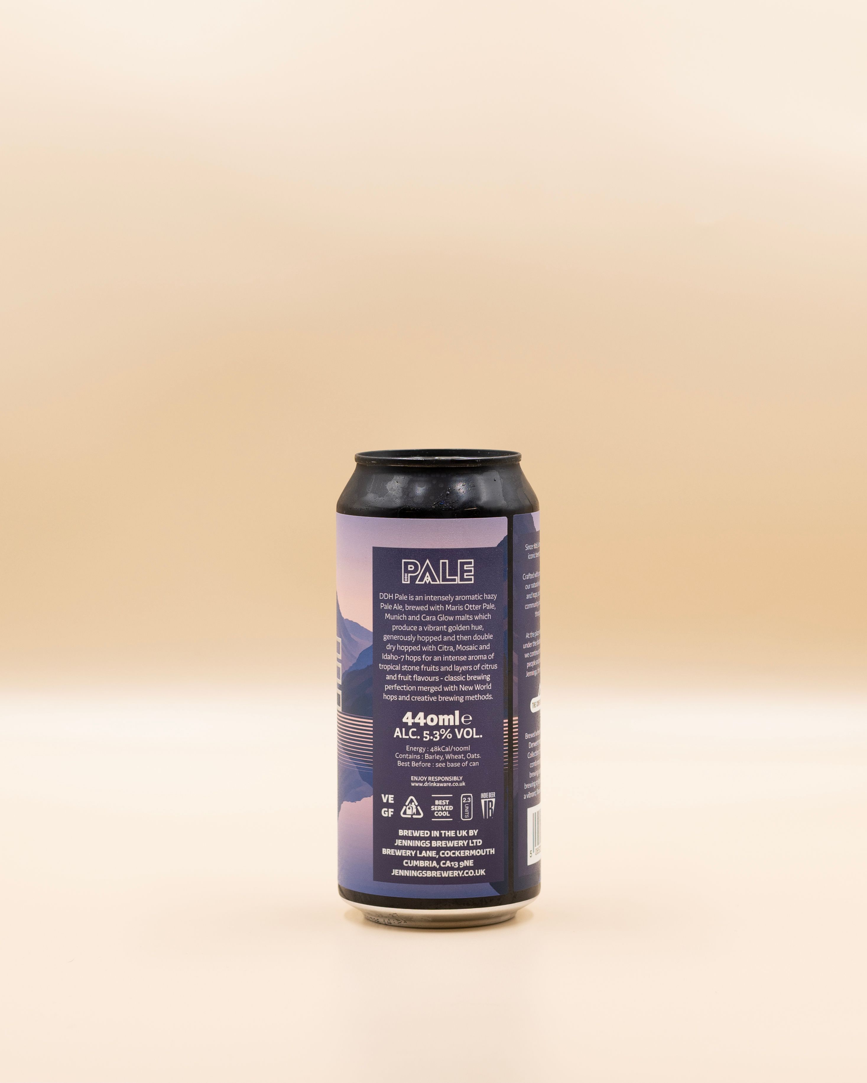 Jennings DDH Pale case of 12 view 2