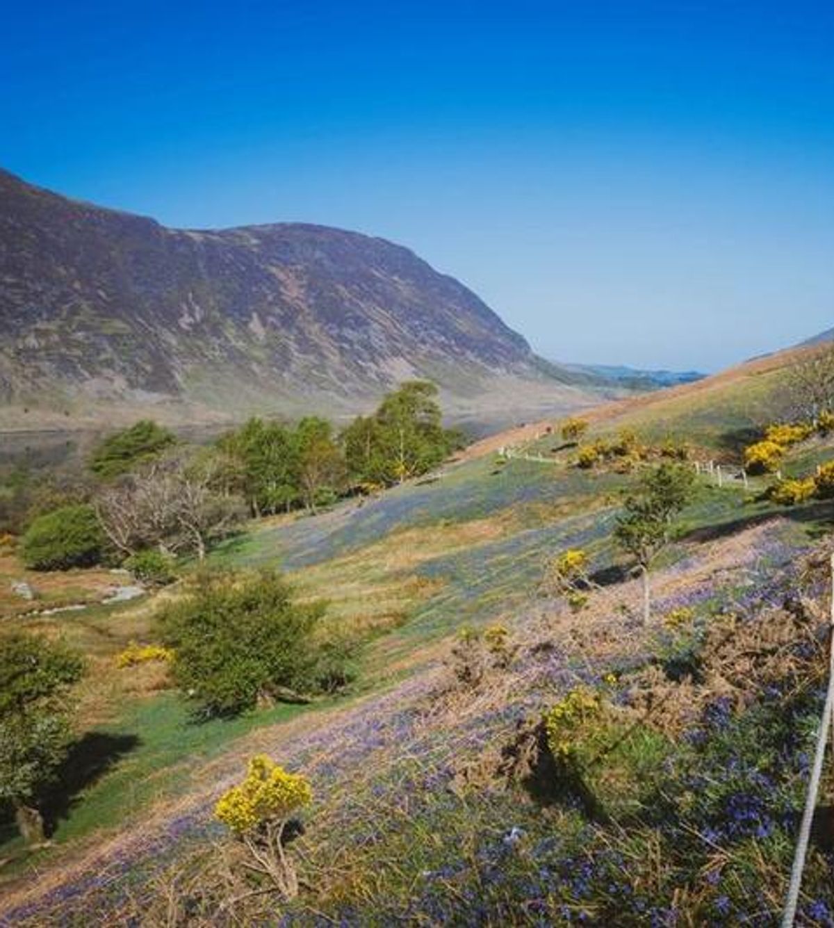 Lake District landscape near the Watch Hill walk