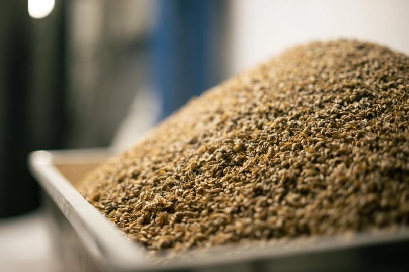 Brewing a Helles