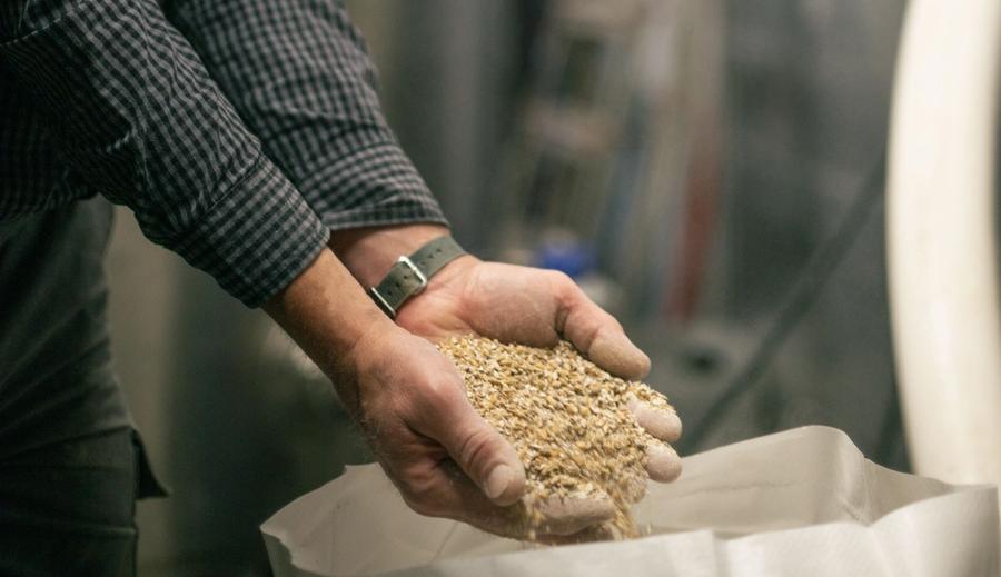 Cocker Hoop malt
