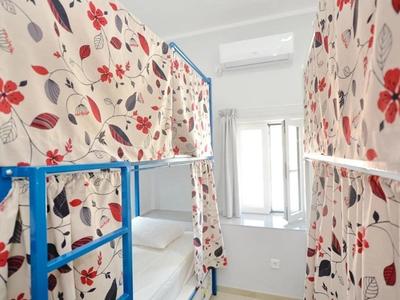 Gallery image for Cozy 4-Bed Mixed Dorm (Garden View)