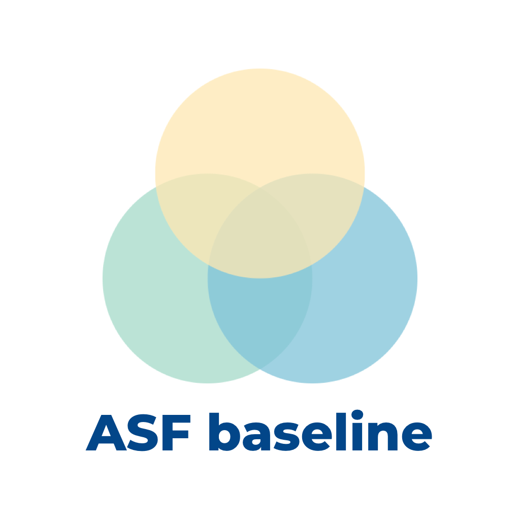 Agile Security Framework (ASF) Baseline
