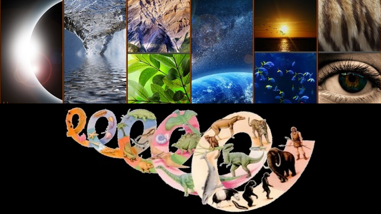 CRIAÇÃO X EVOLUÇÃO