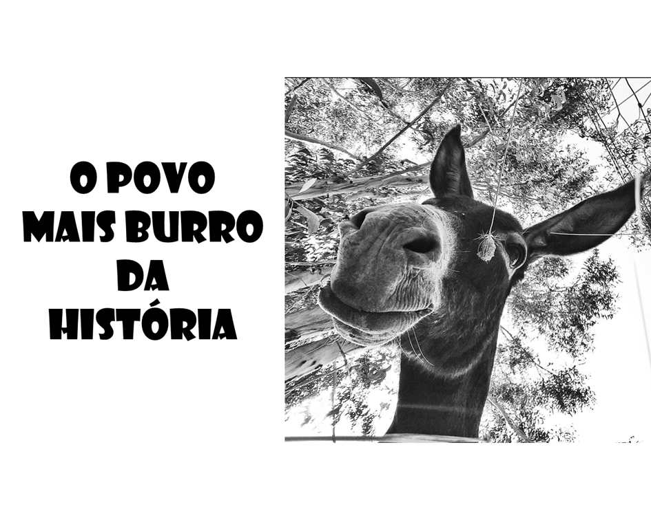 O povo mais burro da história