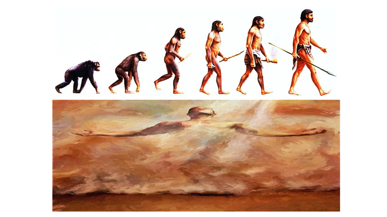 O SER HUMANO FOI CRIADO POR DEUS OU EVOLUIU DO MACACO?