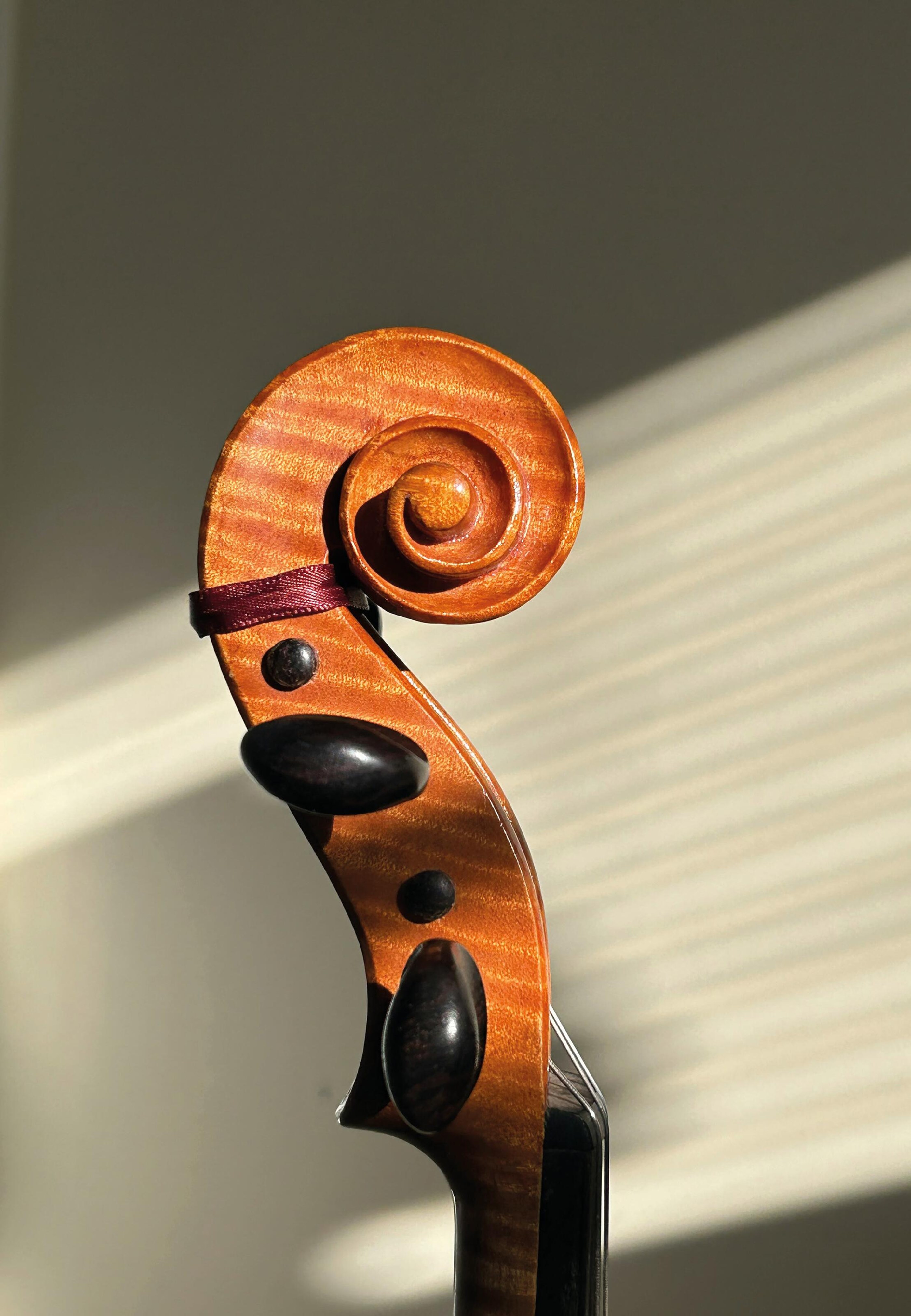 Close-up of a cello scroll and tuning pegs lit by diagonal bands of sunlight