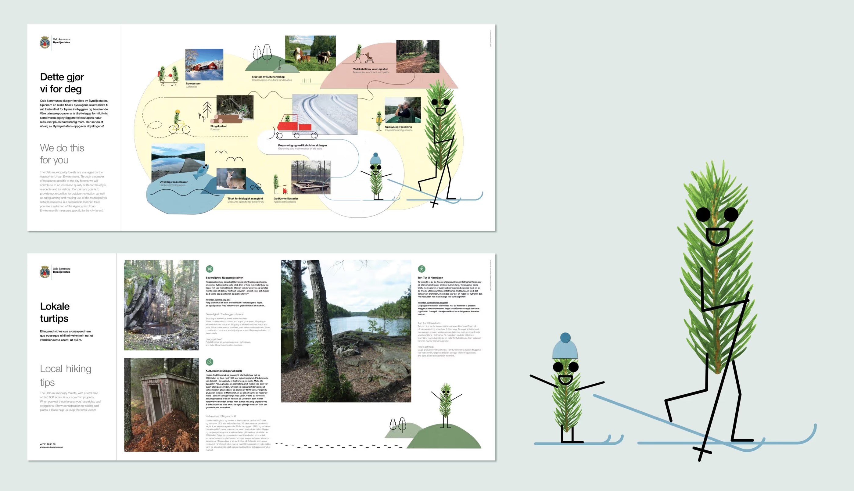 Two-page brochure with local forest hiking tips and conservation info, featuring photos of forest scenes and illustrated pine branch characters skiing.