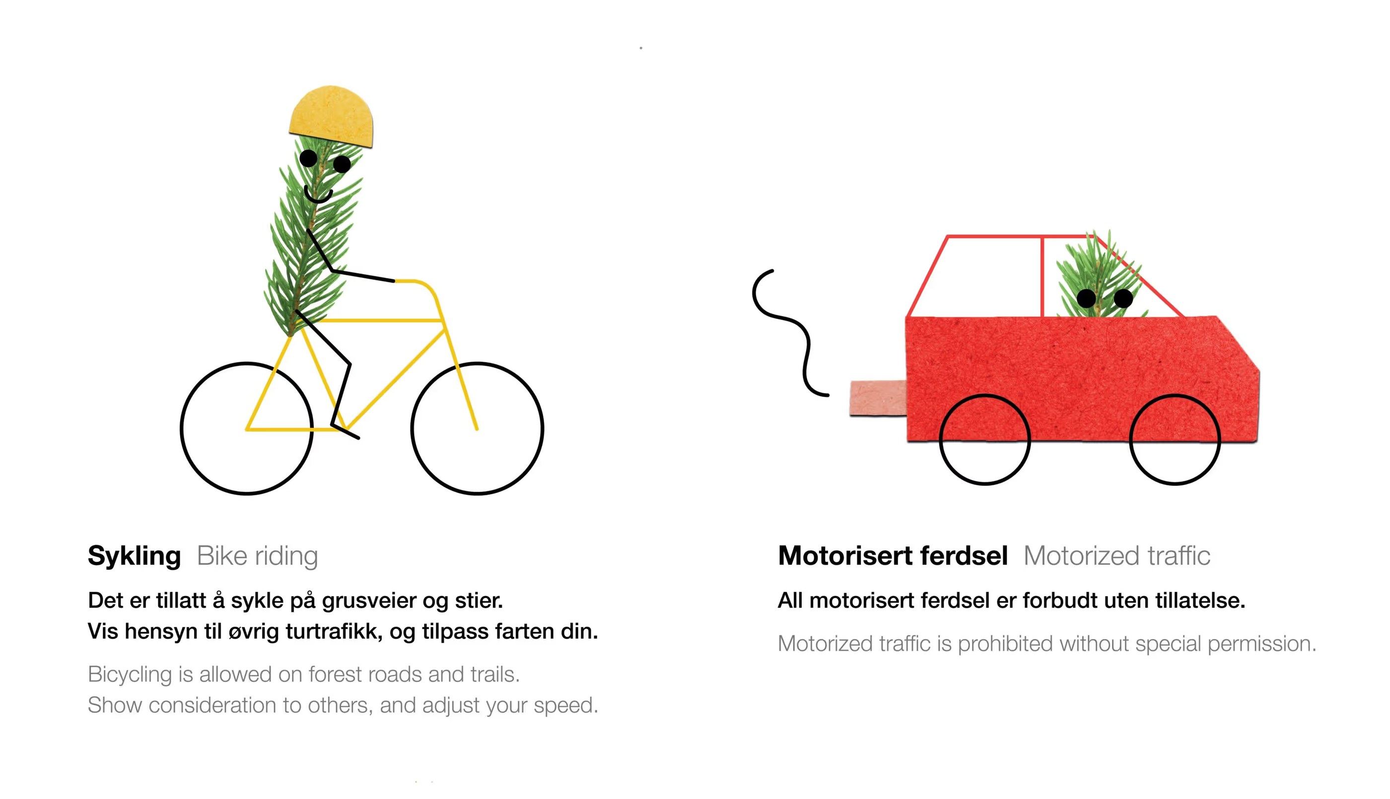 Illustration showing a pine needle character riding a yellow bike with a helmet, and another pine needle character driving a red car, comparing bike riding and motorized traffic rules.