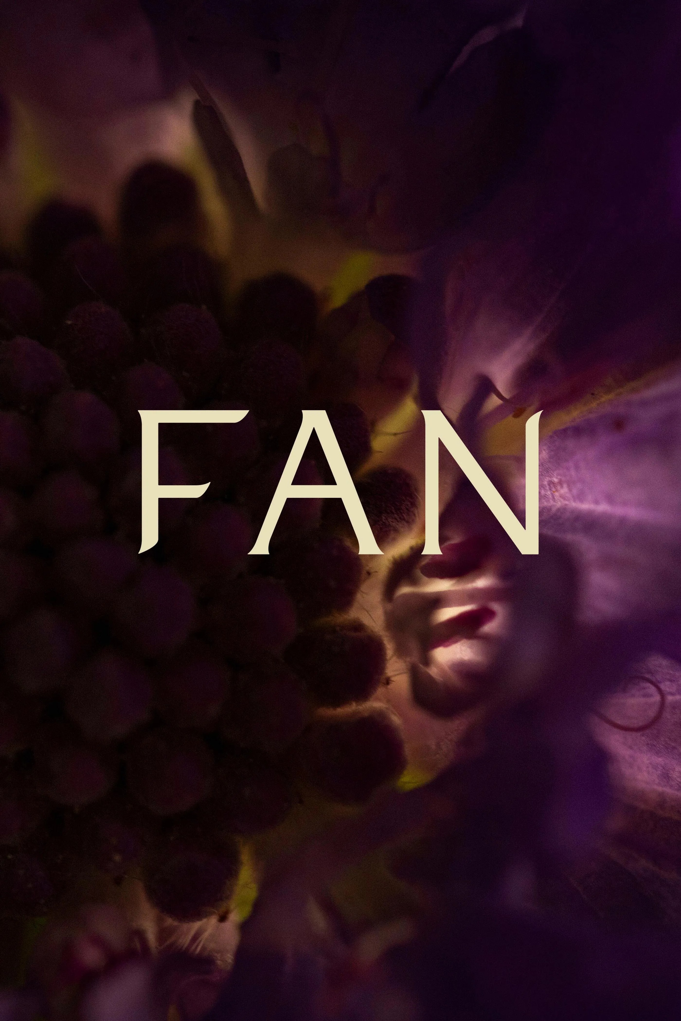 Close-up of a purple flower center with the word 'FAN' overlaid in cream-colored capital letters.