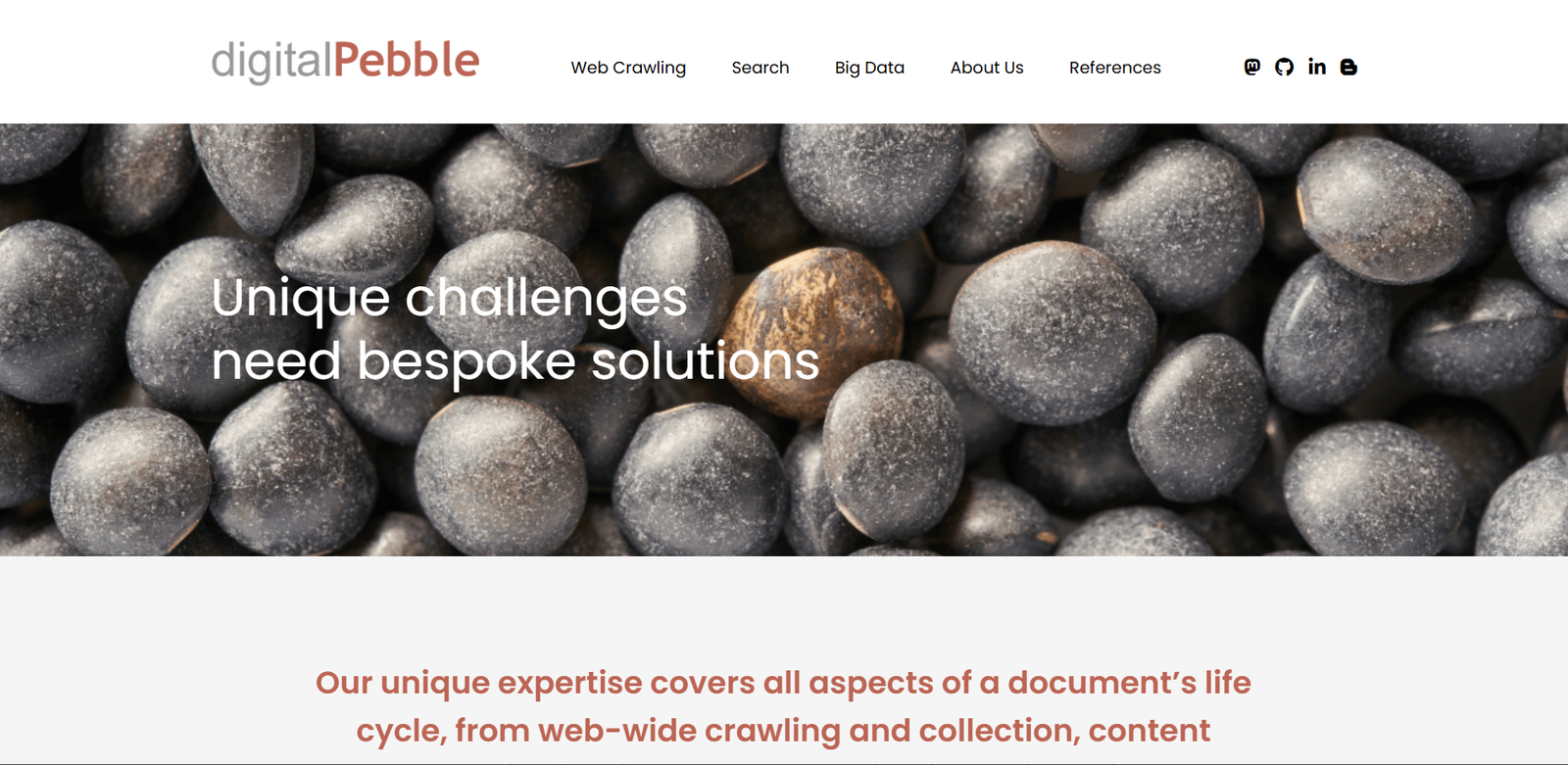 Digital Pebble Website