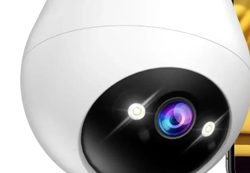 MK47 | Dog Camera No. 11