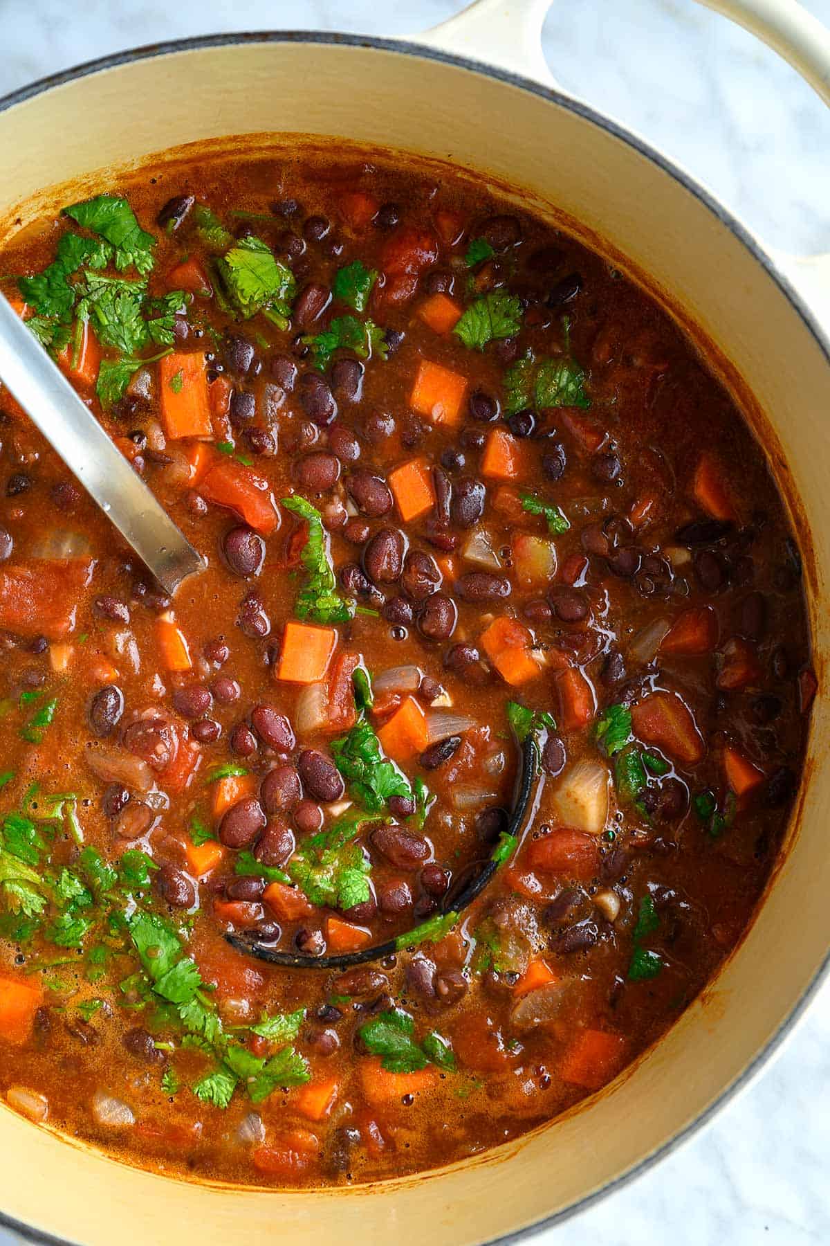 Organic Black Bean Soup with Healing Herbs