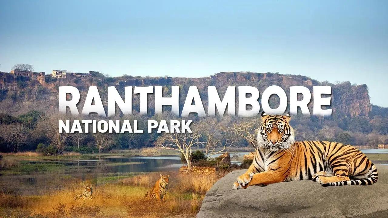 Ranthambore Wildlife Safari & Nature Retreat