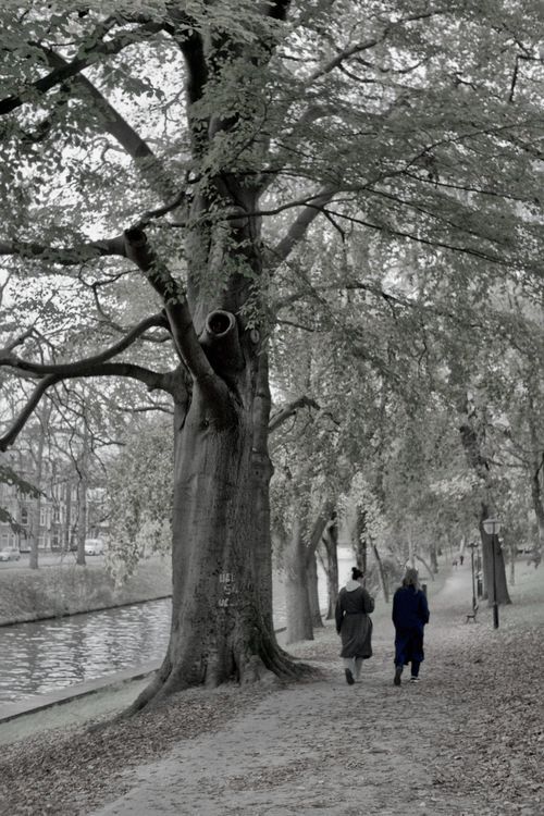 Twee mensen wandelen op een pad langs een rivier, herfst, zacht daglicht