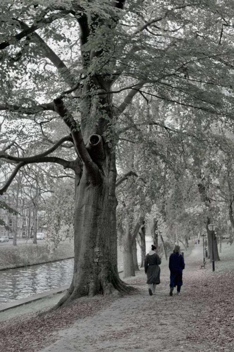 Twee mensen wandelen op een pad langs een rivier, herfst, zacht daglicht